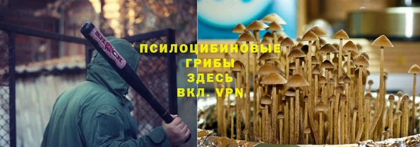 гидропоника Балахна